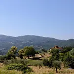 Di Praticino *