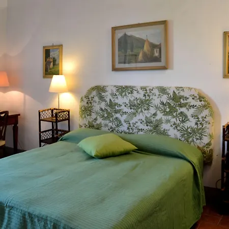 Di Praticino Petrognano (Florence)
