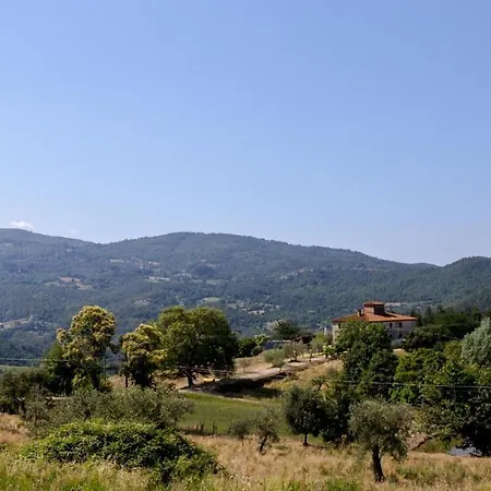 Di Praticino *