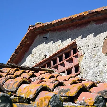 Di Praticino