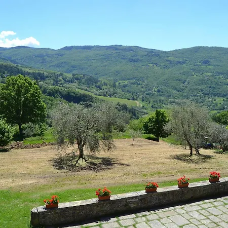 Di Praticino Petrognano (Florence)